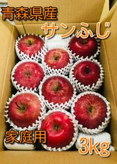 青森県産りんご「サンふじ」家庭用・キズ有 約3kg【産地直送・光センサ選果済】