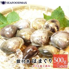 はまぐり 殻付 はまぐりＬサイズ 500g 約10～15個入 ボイル加工済み 冷凍品　蛤