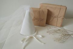 Item thumbnail for item 963cf170-8a85-4e8a-b8c4-b2ac8c6f3550