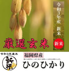 令和6年産 新米 玄米 ひのひかり 米10kg 送料無料 福岡県産 ヒノヒカリ