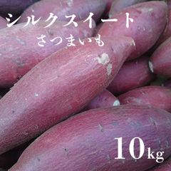 千葉県産シルクスイート芋苗100本送料込み - メルカリ