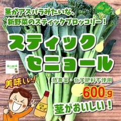 スティックセニョール（茎ブロッコリー）　低農薬・化学肥料不使用　埼玉県産　約６００ｇ