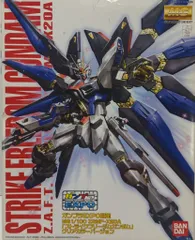 MG ストライクフリーダムガンダム EXPO限定 未組立 MG ストライクフリーダムガンダム ガンプラExpo限定