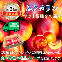 ネクタリン〜旬の厳選１品種〜【内容量】約3kg【配送方法】通常配送【サイズ】L以上【品目】ネクタリン【品種】当店お任せ【産地】長野県【規格】ご家庭用A品【販売会社】有限会社青木青果
