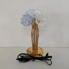 2025年最新】hoya 花あかりの人気アイテム - メルカリ