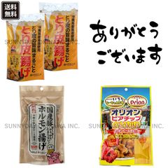 ☆オリジナルセット☆ とり皮揚げ ホルモン揚げ オリオンビアチップ とりかわ 沖縄お土産 お取り寄せ