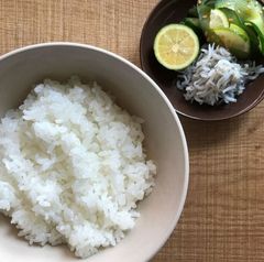 皇室献上米　はえぬき（精米）　２０ｋｇ　山形県寒河江市産　令和４年産米