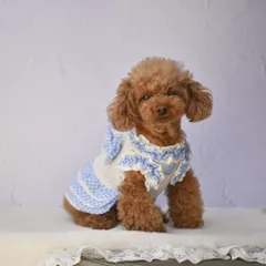 KALINA カリーナ リブギンガムチェックワンピース