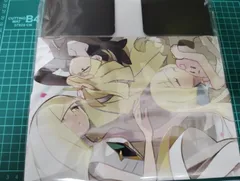 ルザミーネ・リーリエ・グラジオ　ストレージボックス未開封