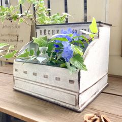 ブリキプランター レジスター型 多肉植物寄せ植え 花寄せ植え アンティーク 北欧 おしゃれ ガーデニング雑貨