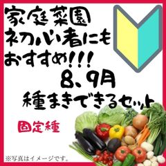 初心者でも簡単！8月~9月にまける野菜の種　7種類セット　固定種