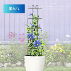 【訳あり】アイアン製トレリス アンティーク調 支柱 ガーデンフェンス🎀クラシック洋館風デザイン🌸鉢植え・ツル植物・ガーデニングに最適