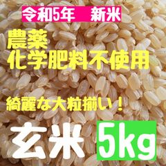 さくらの玄米 【選別済みの大粒揃い】農薬不使用  化学肥料不使用 除草剤不使用  ヒノヒカリ  玄米  5kg  さくら