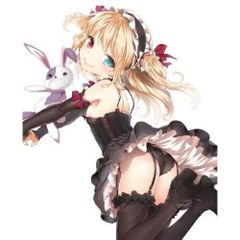 ト*ム様 バニーガール イラスト 大色紙(約27.3×24.2㎝) - メルカリ