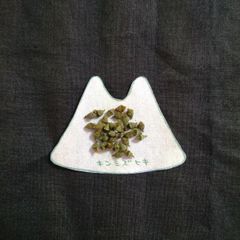 キンミズヒキ　山野草　薬草　種　30粒