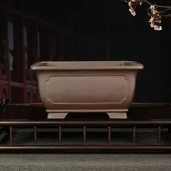 ♦中国?宜興窯 梨地 隅切り長方形ミニ盆栽鉢 小品盆栽鉢 古美術品 骨董品 2025年最新】盆栽鉢 中国の人気アイテム - メルカリ