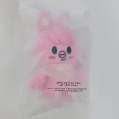 straykids skzoo チャンビン dwaekki 抱きぬいぐるみ Stray Kids SKZOO Changbin DWAEKKI Plush doll Original Ver