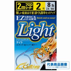 EZショックリーダーライト