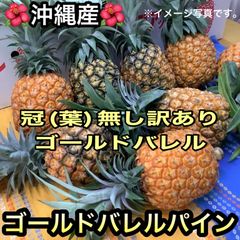 沖縄産☆訳ありゴールドバレルパイナップル(6個約8kg)クール発送