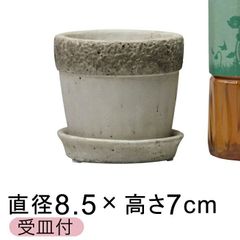 【新品】直径8.5cm 植木鉢 セメントポット リト おしゃれ 丸型 皿付 室内 屋内 多肉植物 小さい鉢