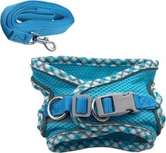 Item thumbnail for item 0db6205f-9573-4f78-bc7c-c3fa4a634765