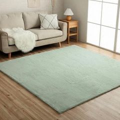 LOWYA ラグ カーペット 140×200cm ミントグリーン ホテルライク - メルカリ