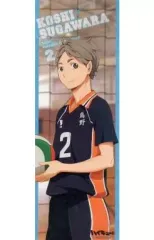 【中古】ポスター(アニメ) 菅原孝支 「ハイキュー!! キャラポスコレクション」