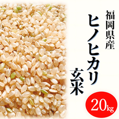 ヒノヒカリ 20kg 玄米 お米 6年産