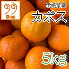愛媛県産 カボス 5kg 1299円 訳あり家庭用 柑橘