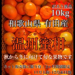 〝旬な果物〟温州みかん ご家庭用 10kg 和歌山県産