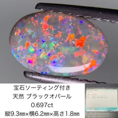 2024年最新】2CT ブラックオパールの人気アイテム - メルカリ