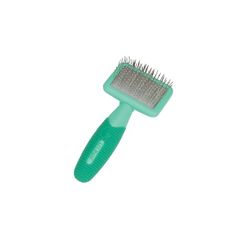 Item thumbnail for item 6512c2bd-b2c7-409b-a511-4afc92260a3e