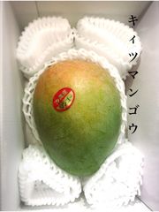 沖縄県産　キーツマンゴー　贈答用❣️