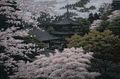 ネイト・ジョルジオ、【Shinsen-en Temple 2】 - メルカリ