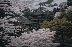 2025年最新】澁澤卿の人気アイテム - メルカリ