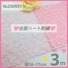 【約2.8+0.4=3.2m】　№250931 チュールレース