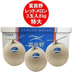品種：ティアラ」 北海道アサヒメロン秀品 3玉 8キロ - メルカリ