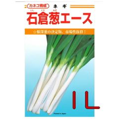 カネコ種苗　石倉葱エース　１Ｌ
