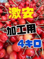 18050483_4