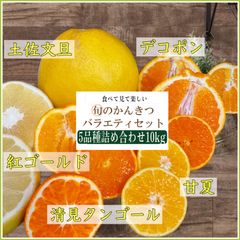 愛媛産　旬の柑橘5種　詰め合わせ　家庭用10kg
