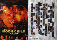 映画ムーンチャイルド リバーシブルポスター パンフレット 初回限定DVD