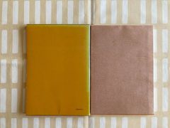 ライナー・チムニク「タイコたたきの夢」童話屋