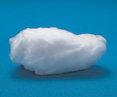 Item thumbnail for item fd6004bc-6908-46fe-9628-e1eaac492116