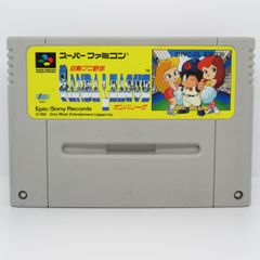SFC 動作確認済み 白熱プロ野球　ガンバリーグ  ソフトのみ スーパーファミコン  