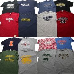 古着卸 まとめ売り カレッジ 半袖Tシャツ 16枚セット (メンズ XL ) タイダイ柄 チームロゴ アーチロゴ ジョージア 中古 古着 NB3945