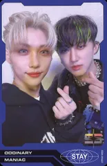 Stray Kids Changbin/FELIX ODDINARY 予約特典 トレーディングカード ユニット青