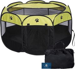 Item thumbnail for item 5c52dc9f-5a3b-4c63-8f5d-2c7b2dbb2a56