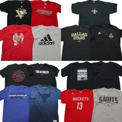 古着卸 まとめ売り スポーツブランドMIX 半袖Tシャツ 15枚セット (メンズ L ) ジョーダン アディダス リーボック 中古 古着 NC3745