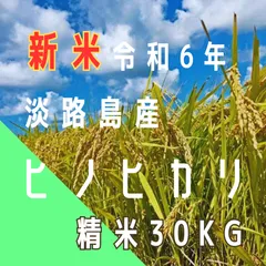 楽天市場】ヒノヒカリ 玄米 30kgの通販