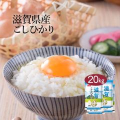 米 精米 滋賀県産 こしひかり 20kg (5kg×4) 令和6年産 お米 白米 おくさま印 国産 食品 ギフト 引っ越し 挨拶 出産 内祝い 母の日 父の日 お中元 お歳暮 結婚 快気 還暦 香典返し お年賀 送料無料